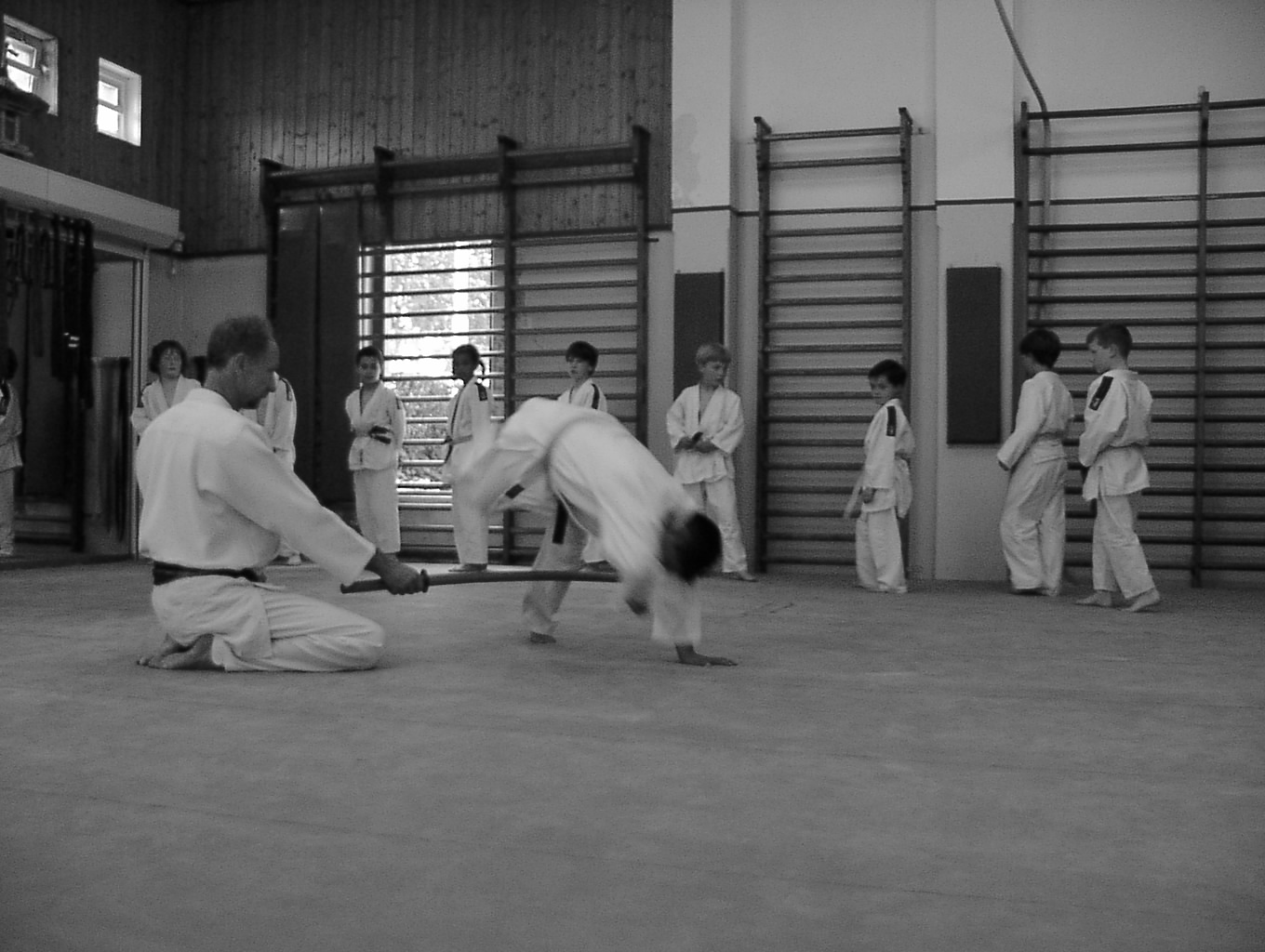 Judo jeug picture